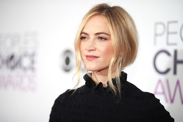 Emily Wickersham Networth and Income Sources