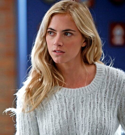 A well-known actress Emily Wickersham Career